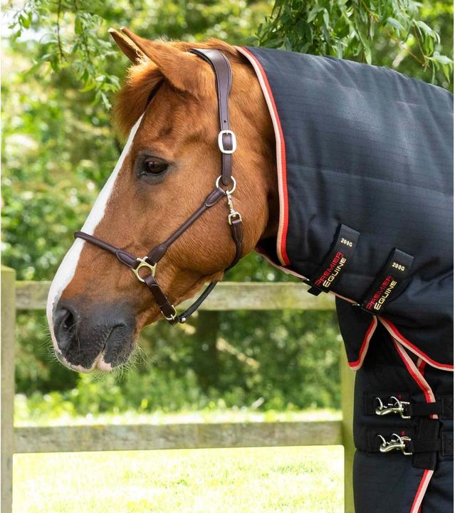 Produktbild Premier Equine Stable Buster 200g (152 cm)