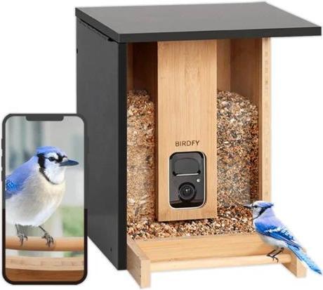 Produktbild Birdfy Futterautomat Bamboo AI im Abonnement + Solarpanel