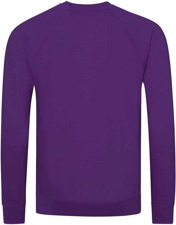 Immagine prodotto Awdis Academy Felpa Raglan Bambini (XXL)