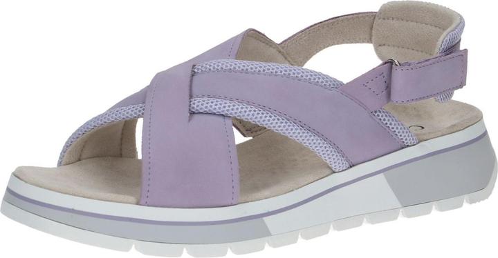 Peigne violet