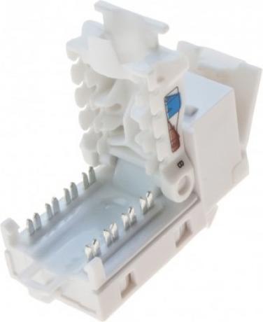 Immagine prodotto Tecline Presa di connessione RJ45, Cat.6 UTP, formato keystone Per l'installazione in rack di moduli, prese