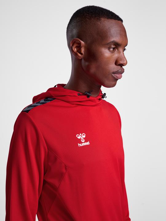 Actual product image hummel Hmlauthentic Pl Hoodie (M)
