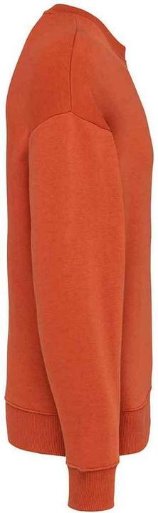 Immagine prodotto Native Spirit Felpa oversize (XS)