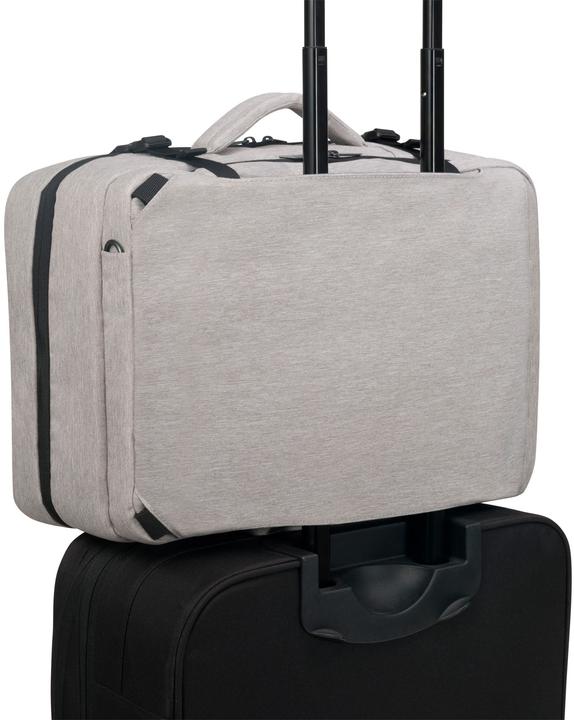 Image du produit Dicota Dual Plus EDGE (15.60")