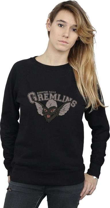 Actual product image Universal Textiles Womens/Ladies Kingston Falls Sport Sweatshirt (XXL)