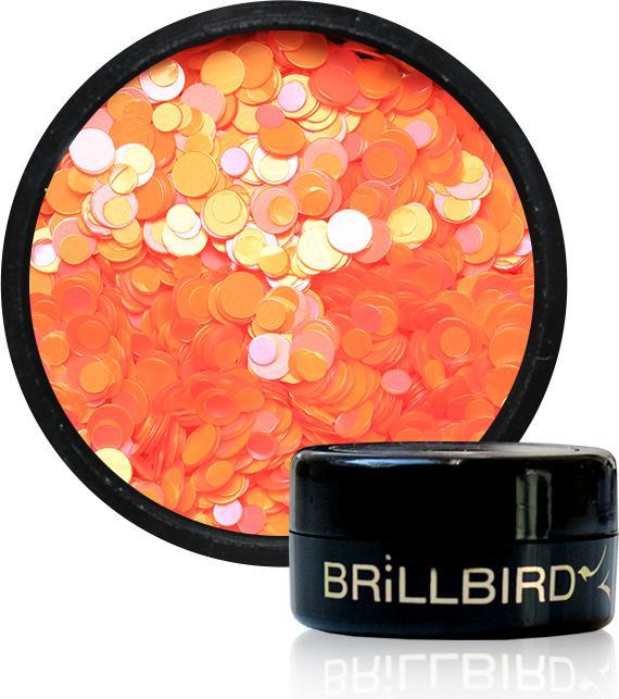 Produktbild BrillBird Nail Art Dots 1