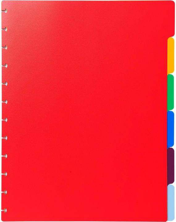 Immagine prodotto Exacompta Registro (A4, 1 x)