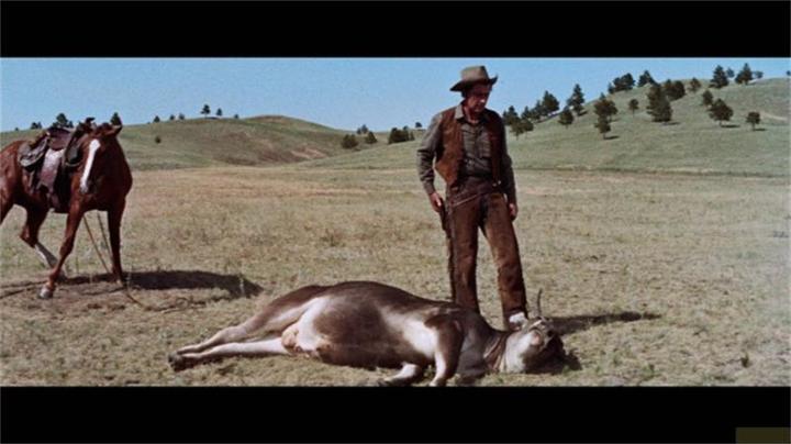 Image du produit Plaion La dernière chasse (DVD, 1956, Allemand, Anglais)