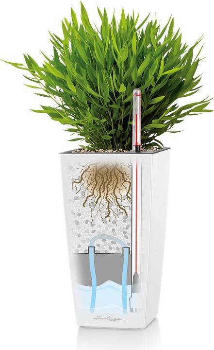 Actual product image Lechuza Planter Maxi cubi Red (14 cm)
