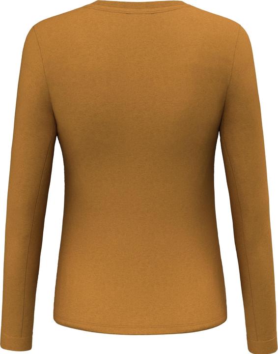 Produktbild Salewa Solidlogo Dry'Ton Longsleeve (40, L)