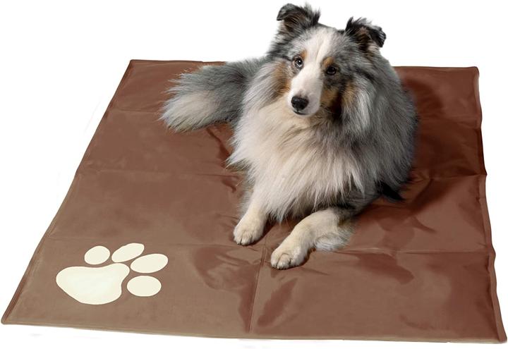 Image du produit Dobar Tapis réfrigérant avec patte beige 99,5 x 70 cm marron (Chien)