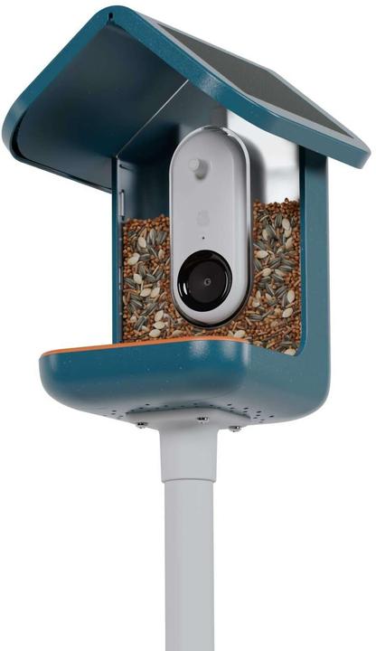 Image du produit Bird Buddy Distributeur de nourriture