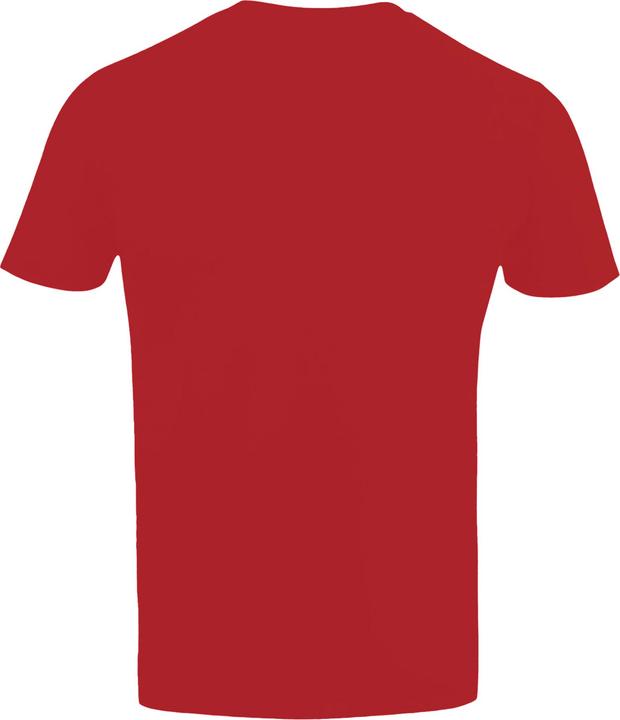 Actual product image Arsenal FC Gunners Tshirt (L)