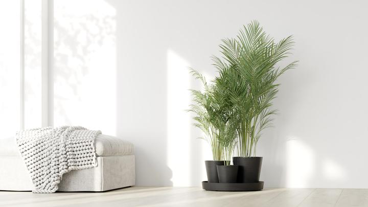 Image du produit Ecopots Dubaï (30 cm)