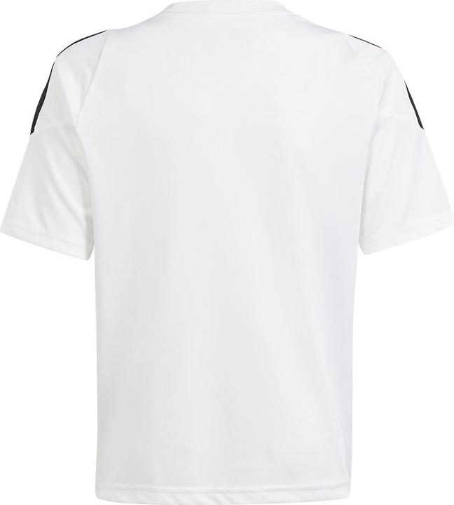 Actual product image adidas TIRO24 JSY Y (164)