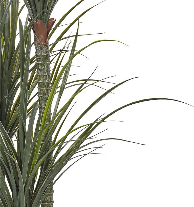 Image du produit Beliani Dracaena Anita (198 cm)