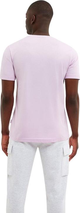 Image du produit Nicce t-shirt peak (L)