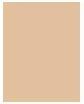 Actual product image NIVEA BB Cream 5in1 Beautifying Moisturizer (MEDIUM)