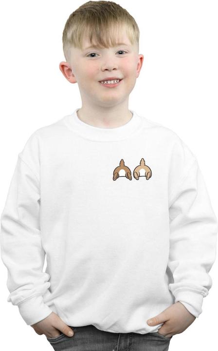 Image du produit Disney - Sweat CHIP N DALE BACKSIDE BREAST PRINT - Garçon (140, 146)