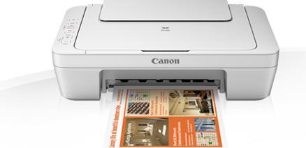 Productafbeelding Canon MG2950 (Inktpatroon, Kleur)