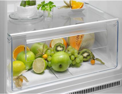 Actual product image Electrolux 500 Series KTS5LE16S Double Door Refrigerator from (249 l)