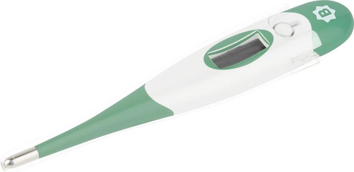 Actual product image Badabulle Digital clinical thermometer (Armpit, Mouth, Rectal)