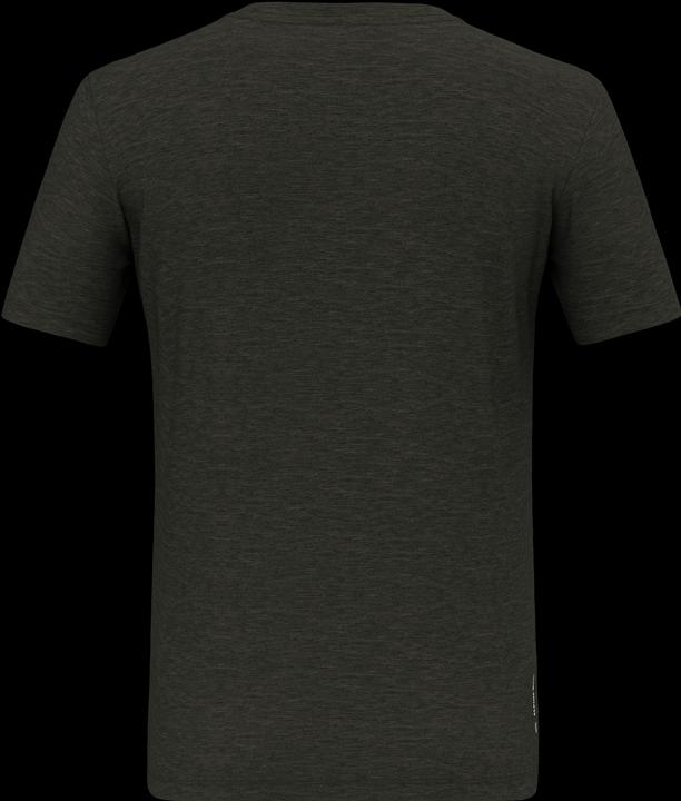 Image du produit Salewa T-shirt Eagle Minilogo Merino (46)