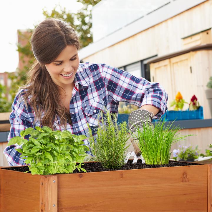 Actual product image Relaxdays raised bed