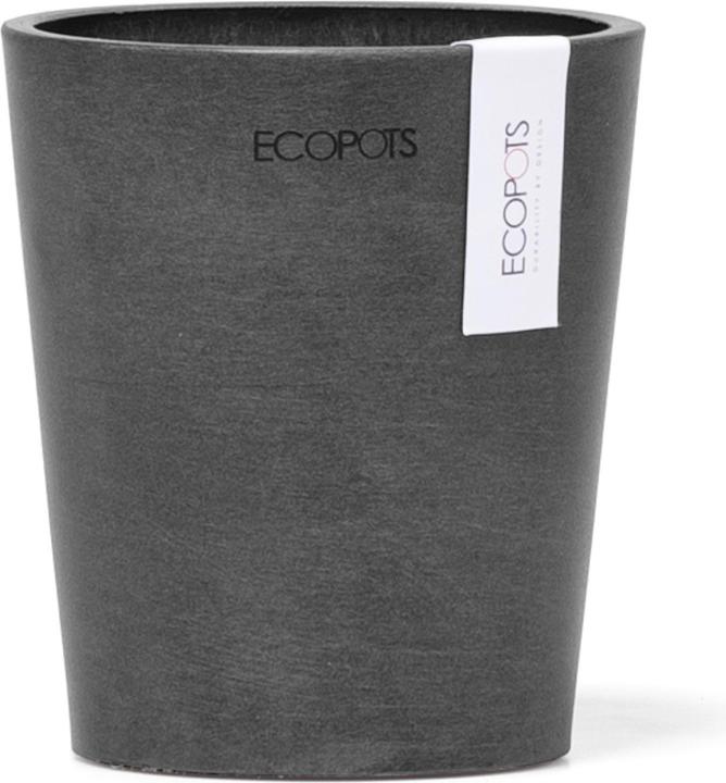 Actual product image Ecopots Morinda (11 cm)