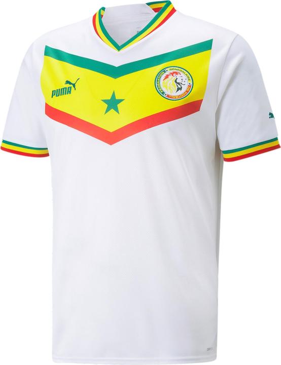 Immagine prodotto Puma Maglia da casa FSF Replica (XXL)