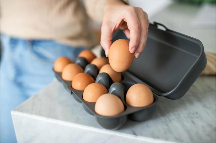 Image du produit Koziol Boîte à oeufs (2.69 l)