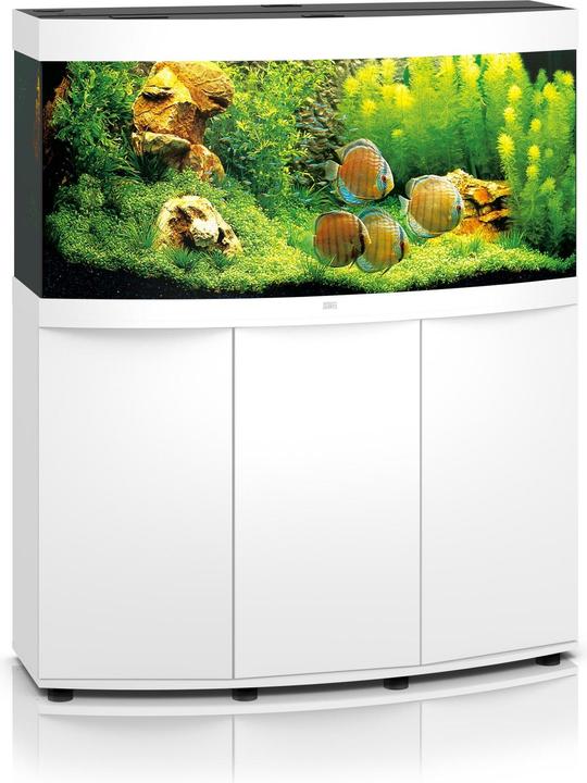 Image du produit Juwel Aquarium Vision 260 Aquarium 121x46x62cm blanc (260 l)