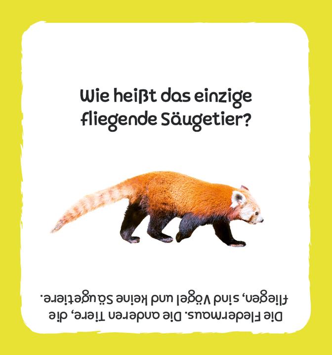 Produktbild Kartenbox: Das grosse Quiz – Tiere (Deutsch)