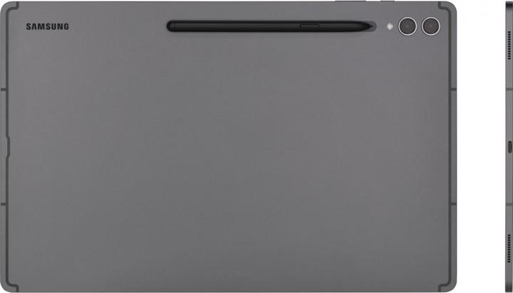 Image du produit Samsung Galaxy Tab S9 Ultra (5G, 14.60", 256 Go, Gris graphite)