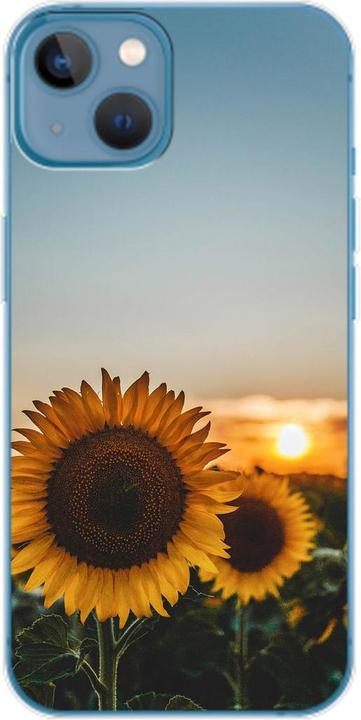 Sonnenblumen