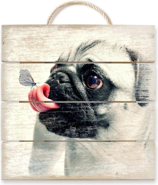 Image du produit Trenddeko L'affection des animaux (40 x 41,5 cm)