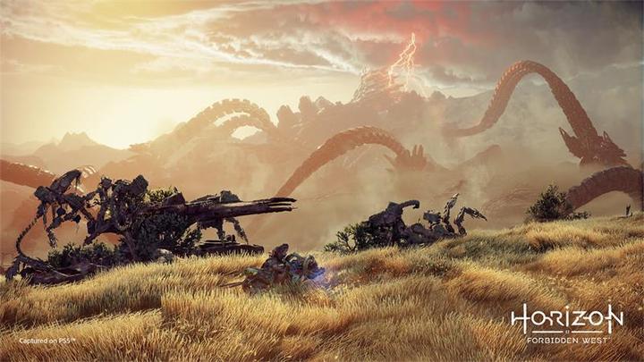 Image du produit Sony Horizon Forbidden West (PS5, EN)