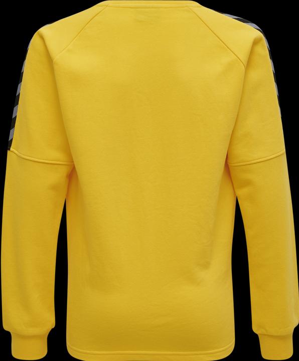 Produktbild hummel Authentic Kids Training Sweat (152)