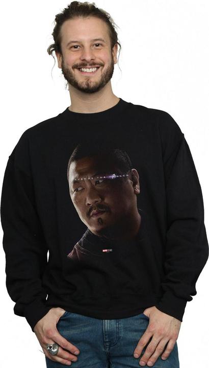 Produktbild Avengers Endgame Avenge The Fallen Wong Baumwolle Sweatshirt (L)
