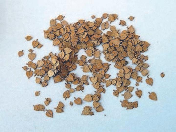 Image du produit Plus Model Feuilles de tilleul Feuilles