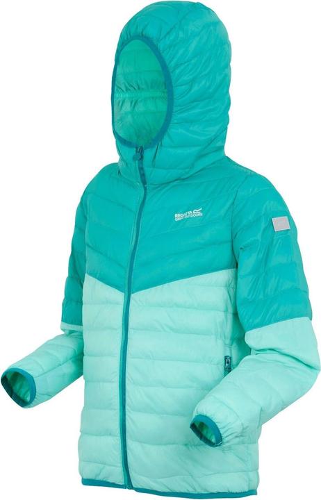 Immagine prodotto Regatta Hillpack III Giacca con Cappuccio Bambini (170, 176)