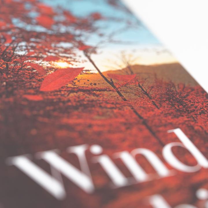 Actual product image Der Wind weht, wohin er will (German, Susanna Tamaro, Thomas Stauder, 2024)