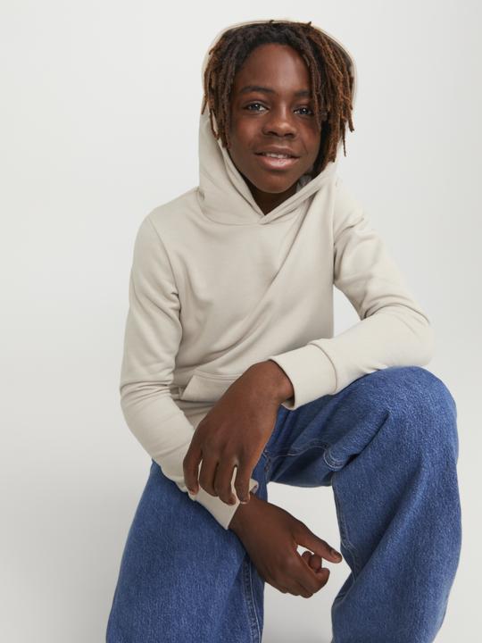 Image du produit Jack & Jones Sweat à capuche garçon (164)