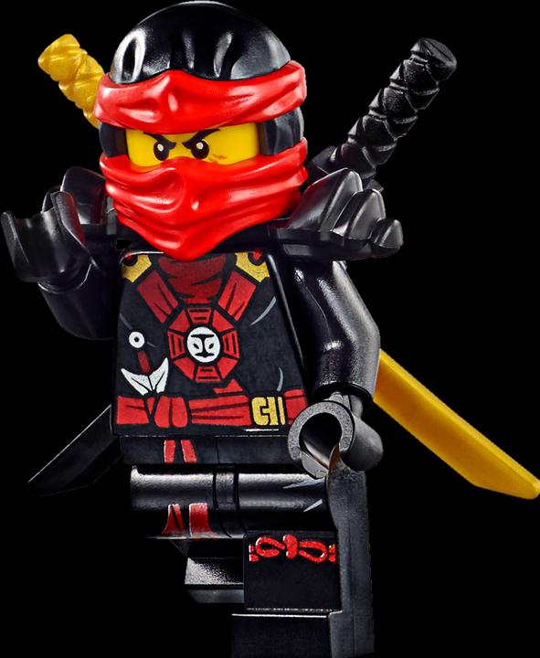 Actual product image LEGO Ninjago Attack of the Morro Dragon (70736, LEGO Ninjago)