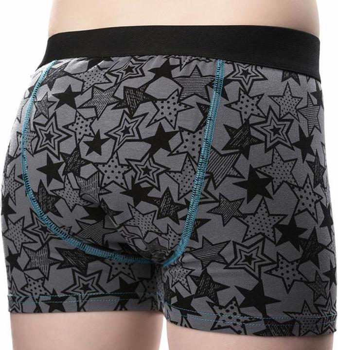 Produktbild Dry & Cool Inkontinenz-Shorts Grey Star (170)