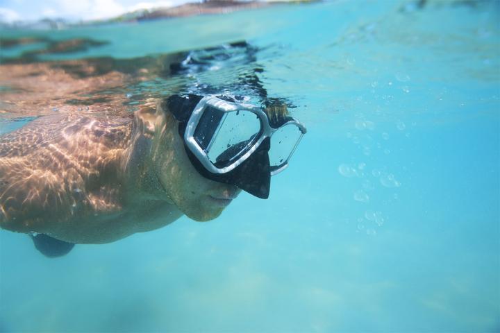 Produktbild Bestway 22060, Adult, Half face mask, Freediving, Multicolour, 14 yr(s), 301 g