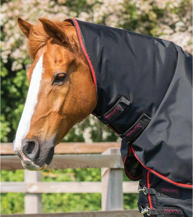 Actual product image Premier Equine Buster 250 g (183 cm)