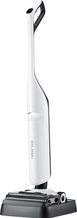 Actual product image Roborock Flexi Pro