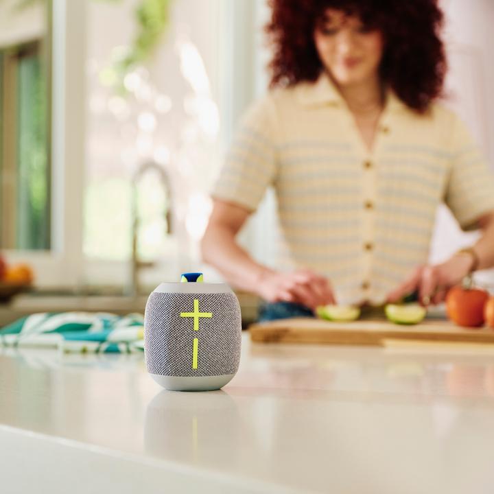 Immagine prodotto UE Wonderboom 4 (14 h, Batteria ricaricabile)