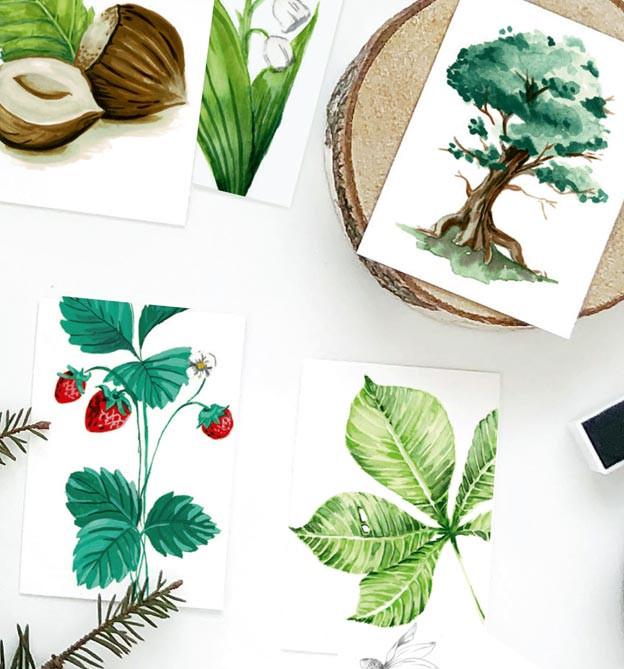 Produktbild Das wundervolle Buch der Waldmotive (Deutsch, Tanja Geier, 2021)